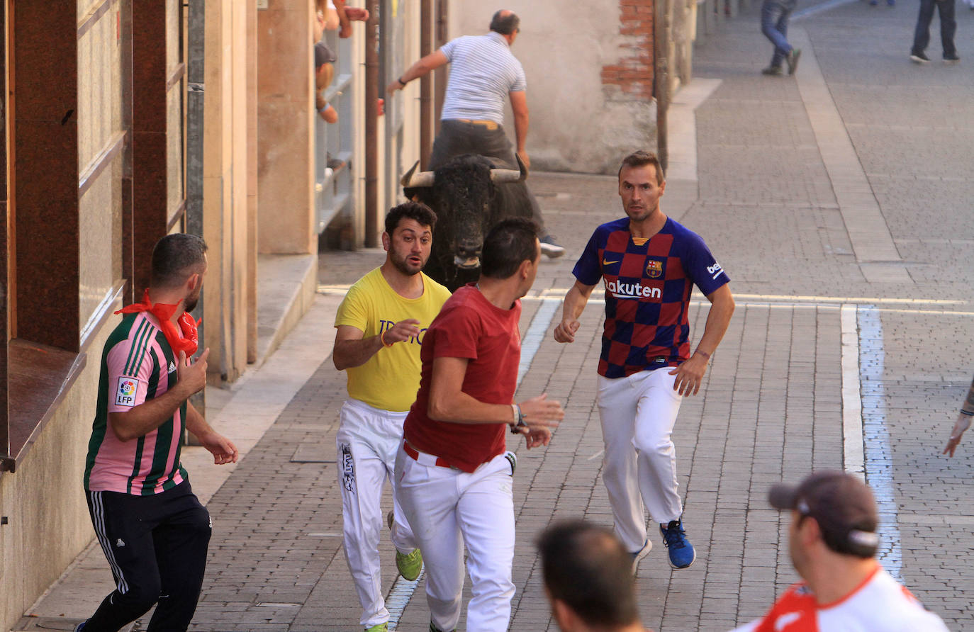 Fotos: Quinto encierro de las Fiestas de Cuéllar