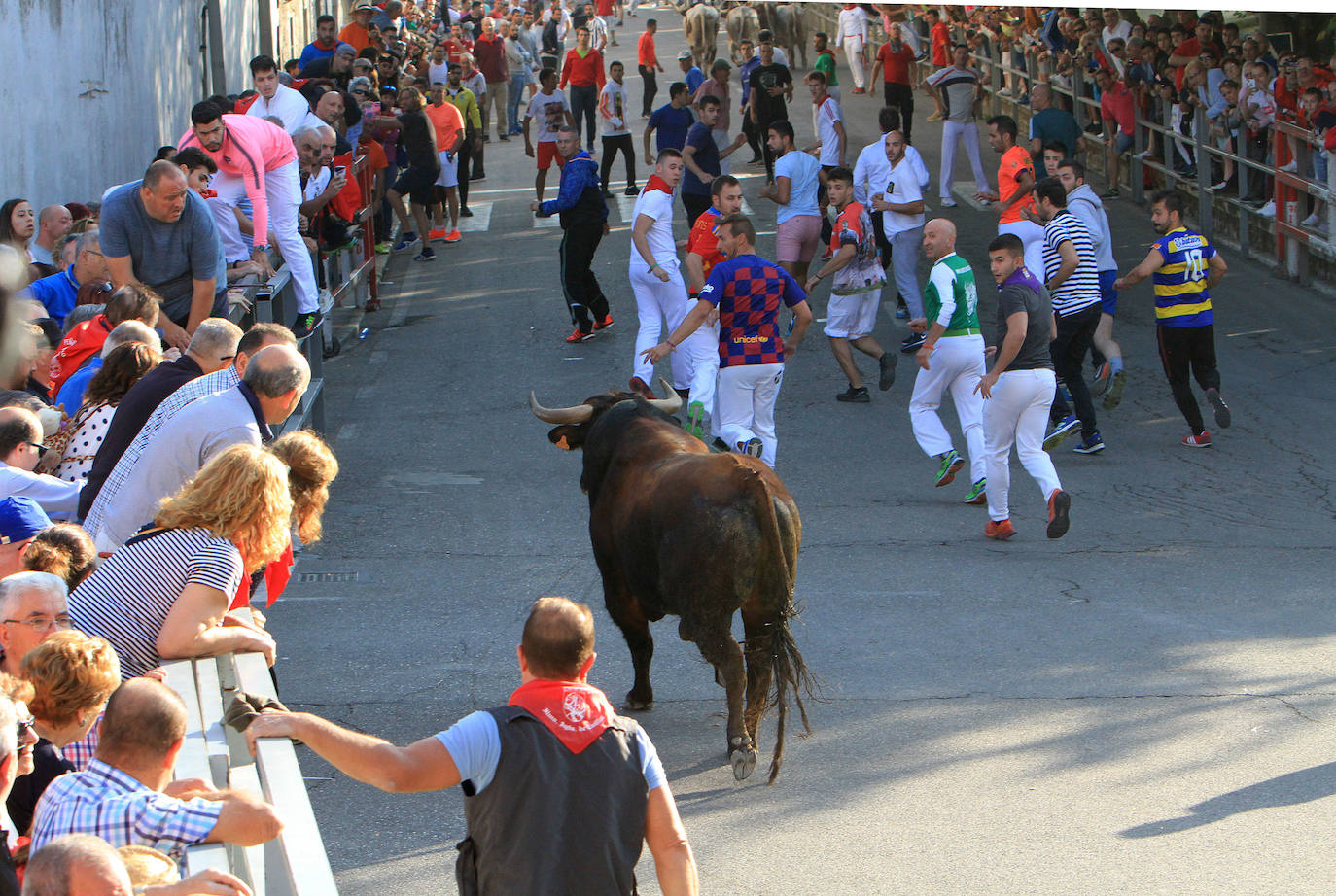 Fotos: Quinto encierro de las Fiestas de Cuéllar