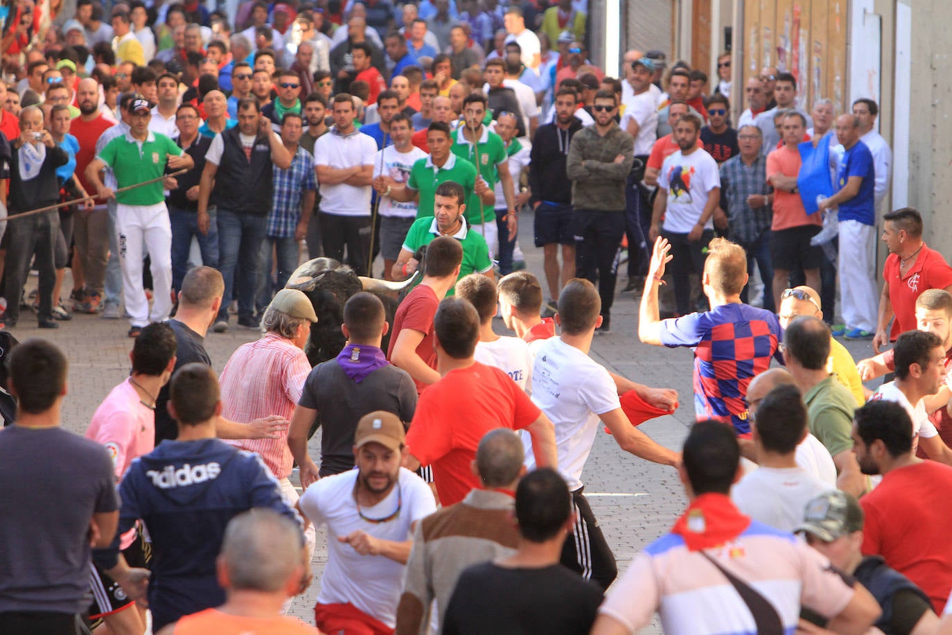 Fotos: Quinto encierro de las Fiestas de Cuéllar