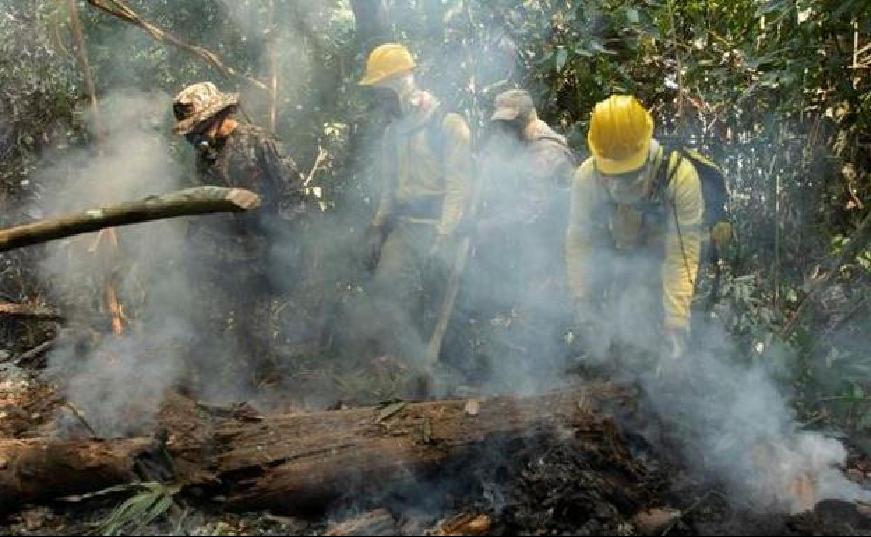 Bomberos, brigadistas y soldados combaten varios focos de incendios en la selva amazónica.