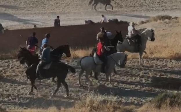 Vídeo: así ha sido la dramática escena de la cornada mortal