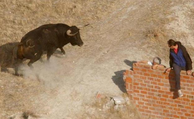 Momento en el que el toro arremete contra el muro en el que se intenta subir el vecino que posteriormente falleció corneado.