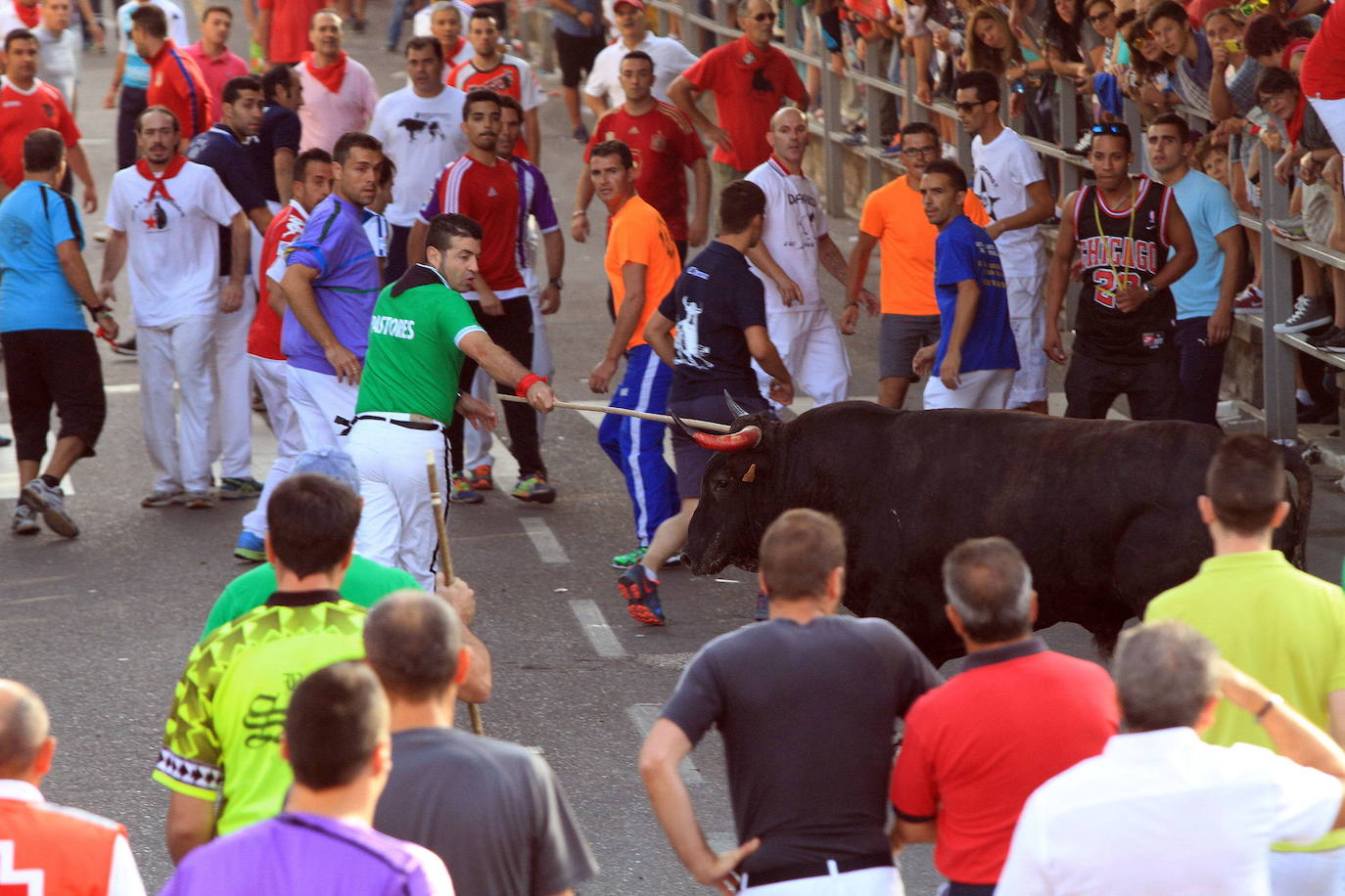 Novillo que causó la muerte del aficionado de 66 años el 30 de agosto de 2015.