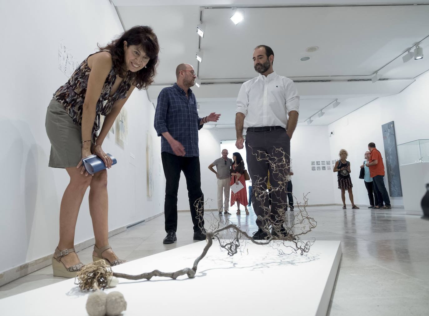 Fotos: Carlos de Paz expone sus últimas obras en la Sala 0 del Museo Patio Herreriano