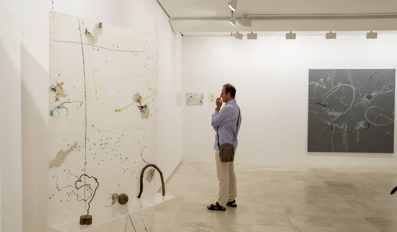 Fotos: Carlos de Paz expone sus últimas obras en la Sala 0 del Museo Patio Herreriano