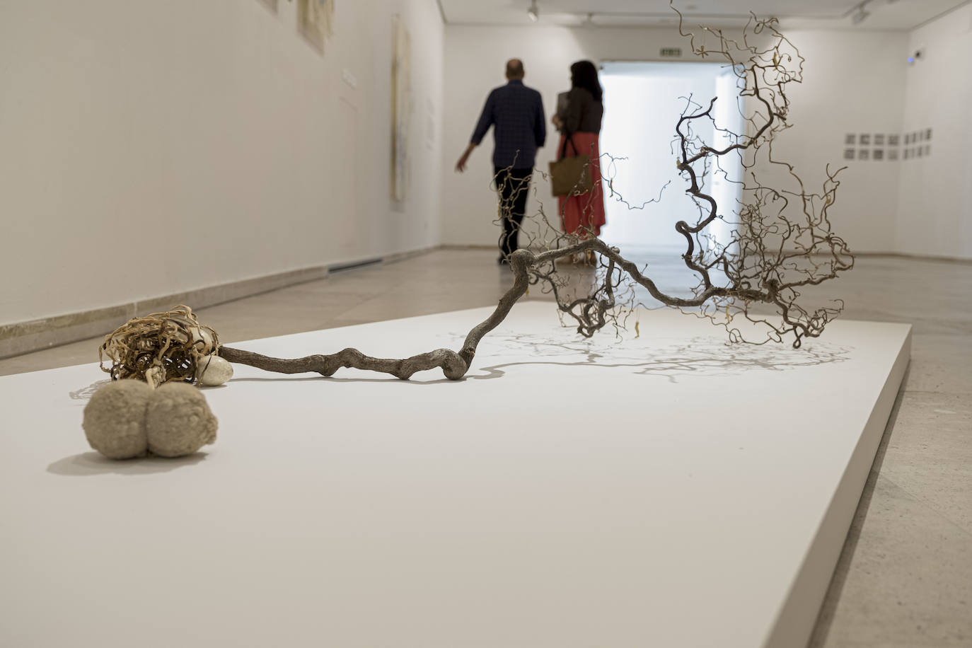 Fotos: Carlos de Paz expone sus últimas obras en la Sala 0 del Museo Patio Herreriano