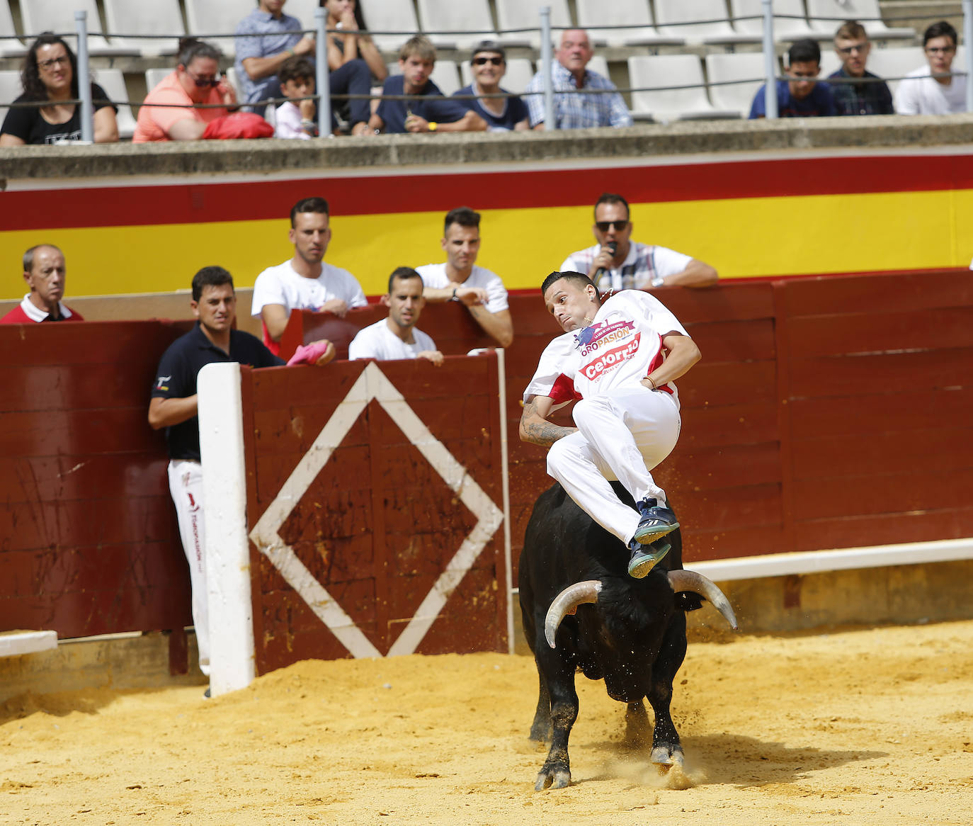 Fotos: Campeonato de recorte libre de Palencia 2019