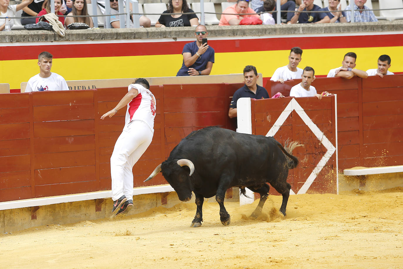 Fotos: Campeonato de recorte libre de Palencia 2019