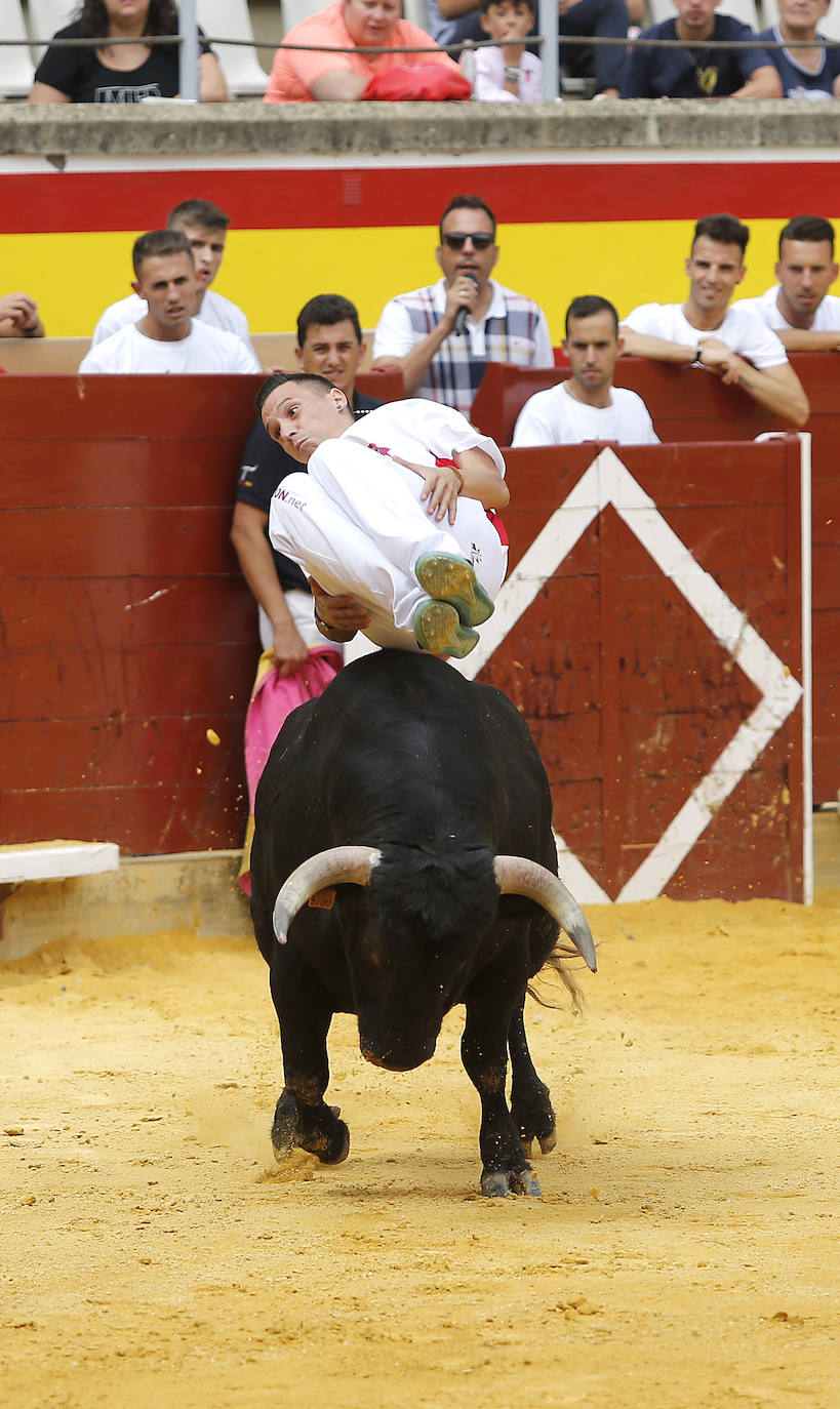 Fotos: Campeonato de recorte libre de Palencia 2019