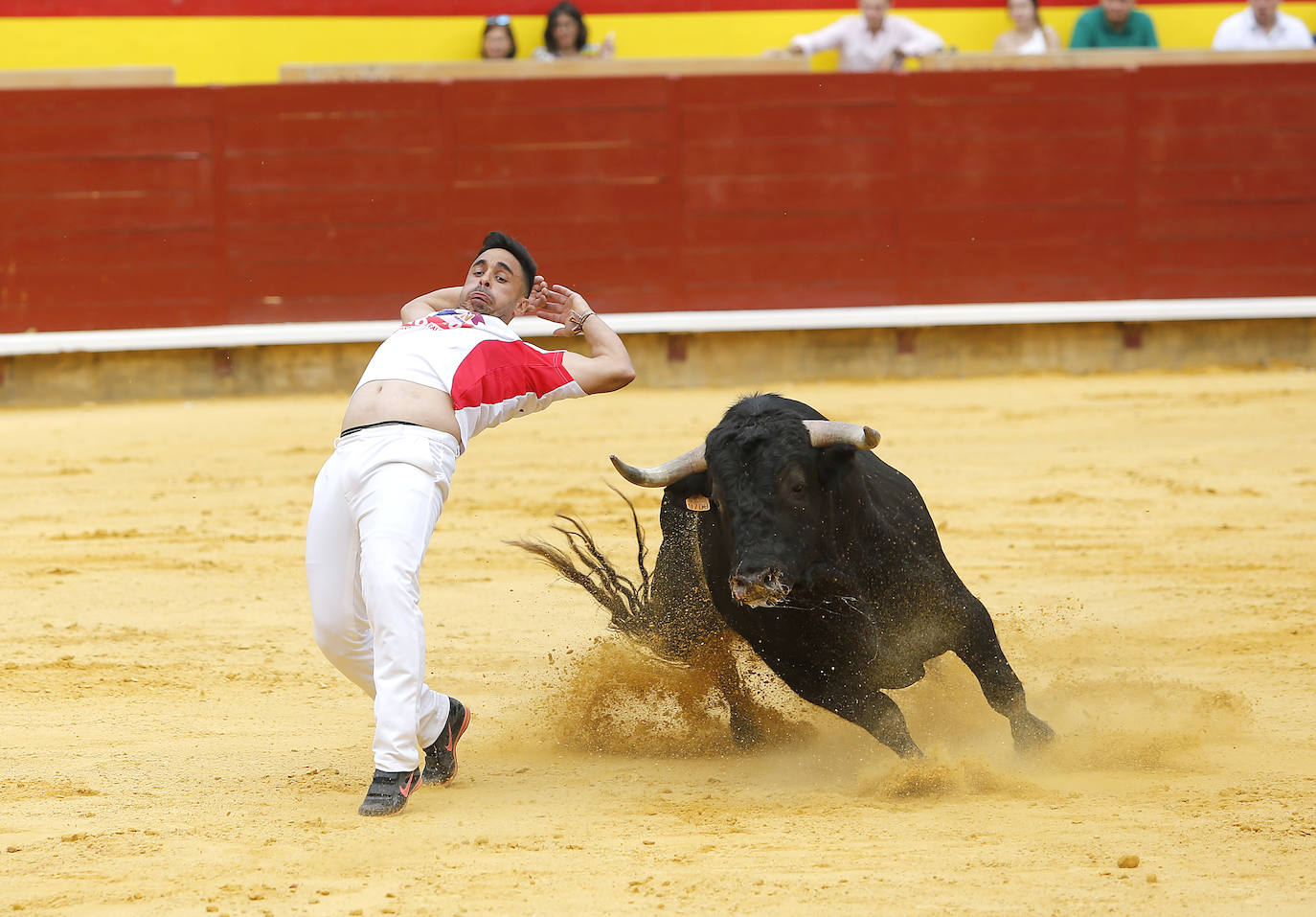 Fotos: Campeonato de recorte libre de Palencia 2019