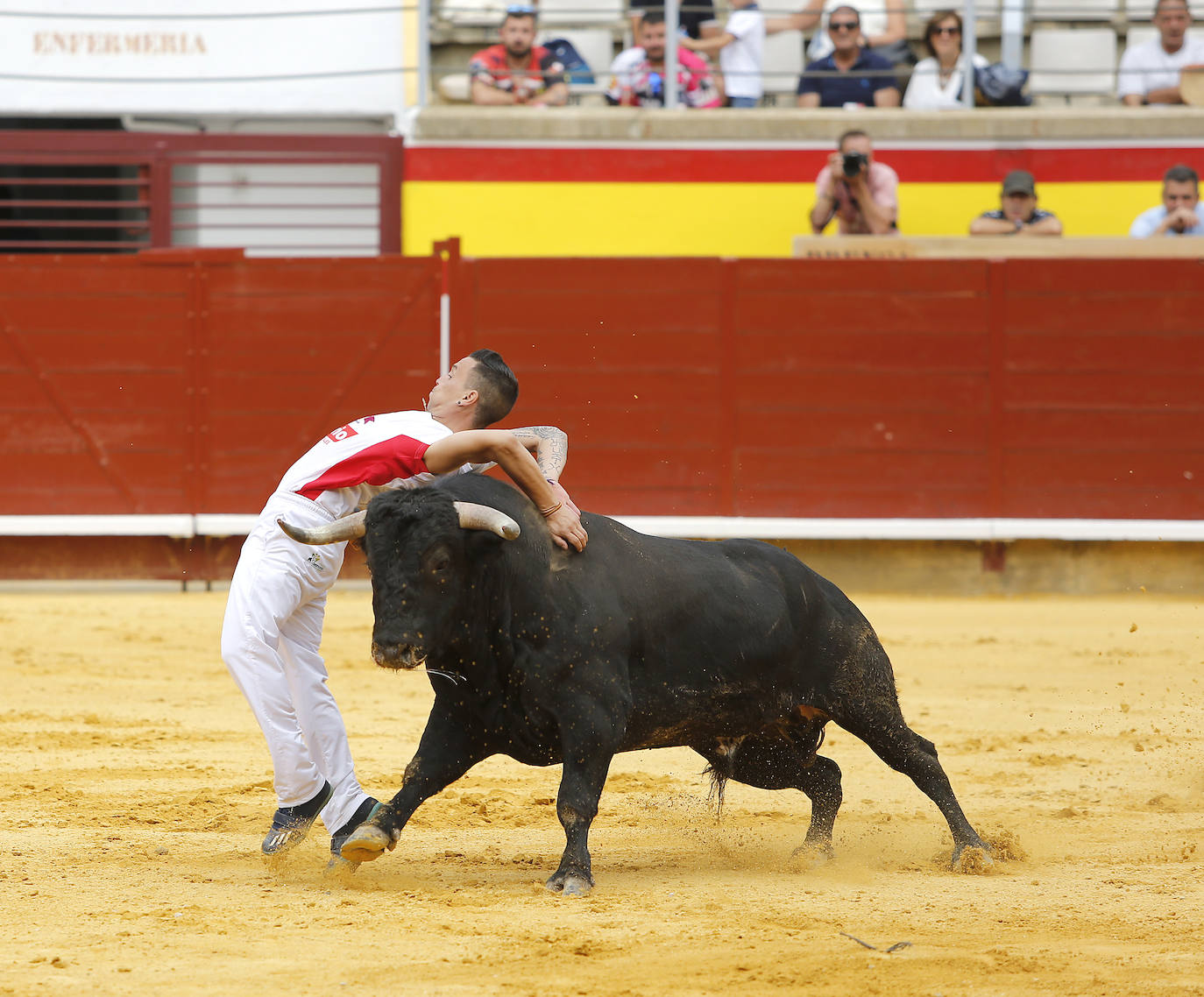 Fotos: Campeonato de recorte libre de Palencia 2019