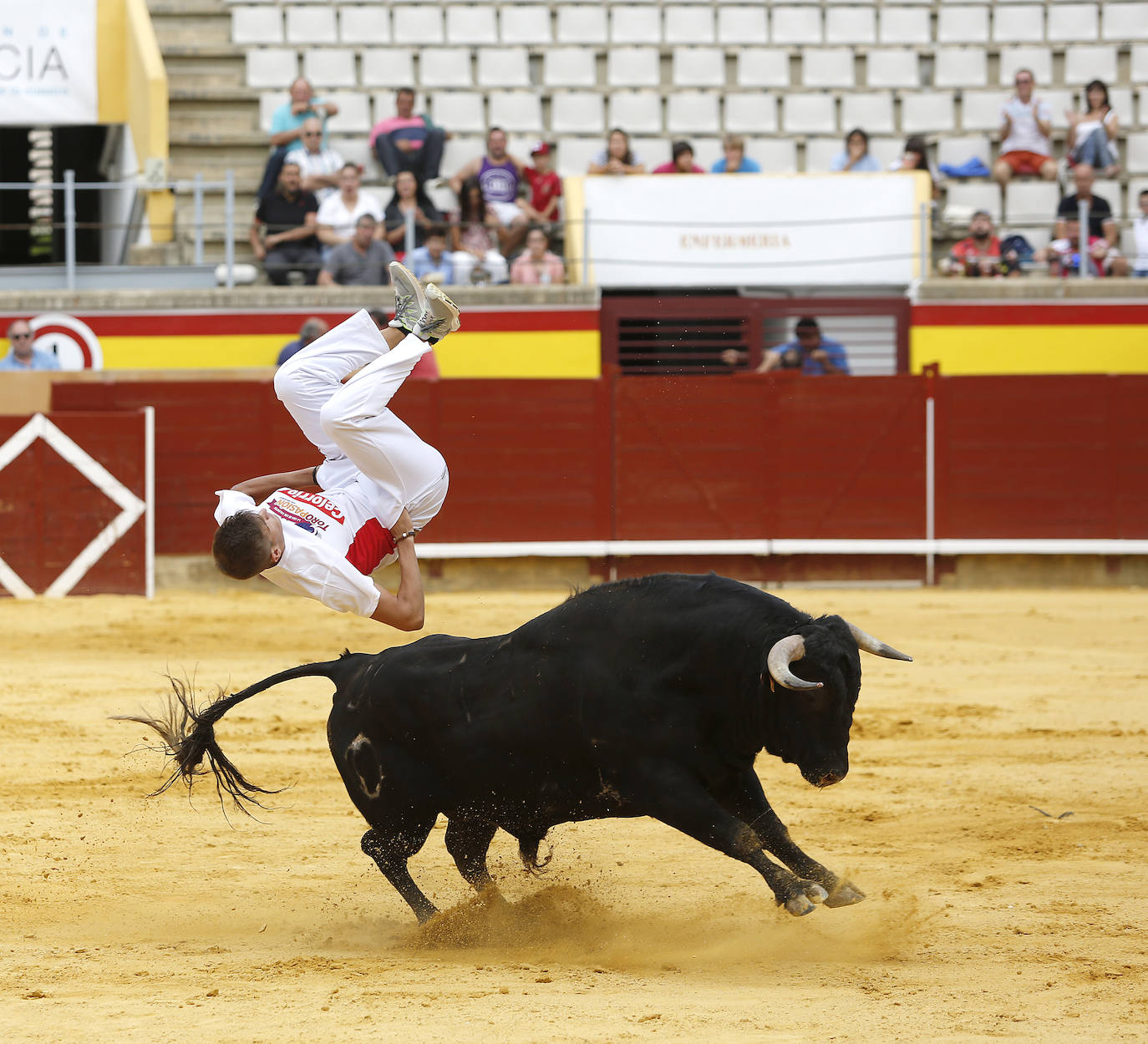 Fotos: Campeonato de recorte libre de Palencia 2019