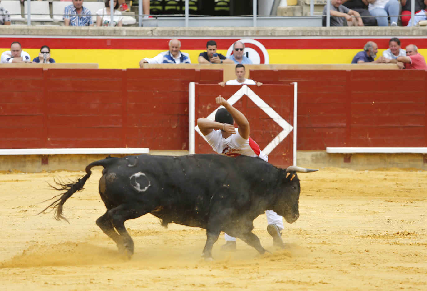 Fotos: Campeonato de recorte libre de Palencia 2019