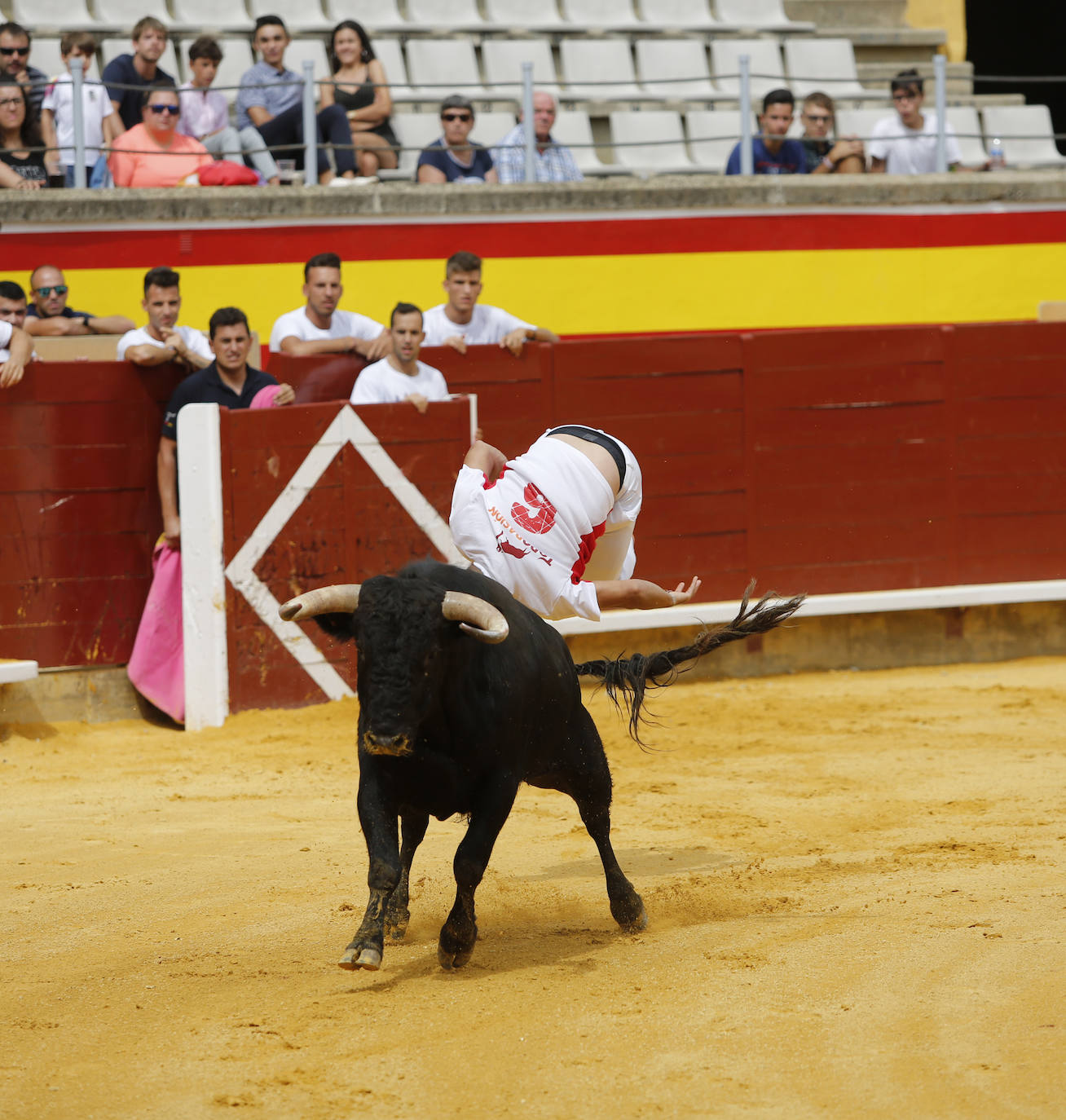 Fotos: Campeonato de recorte libre de Palencia 2019