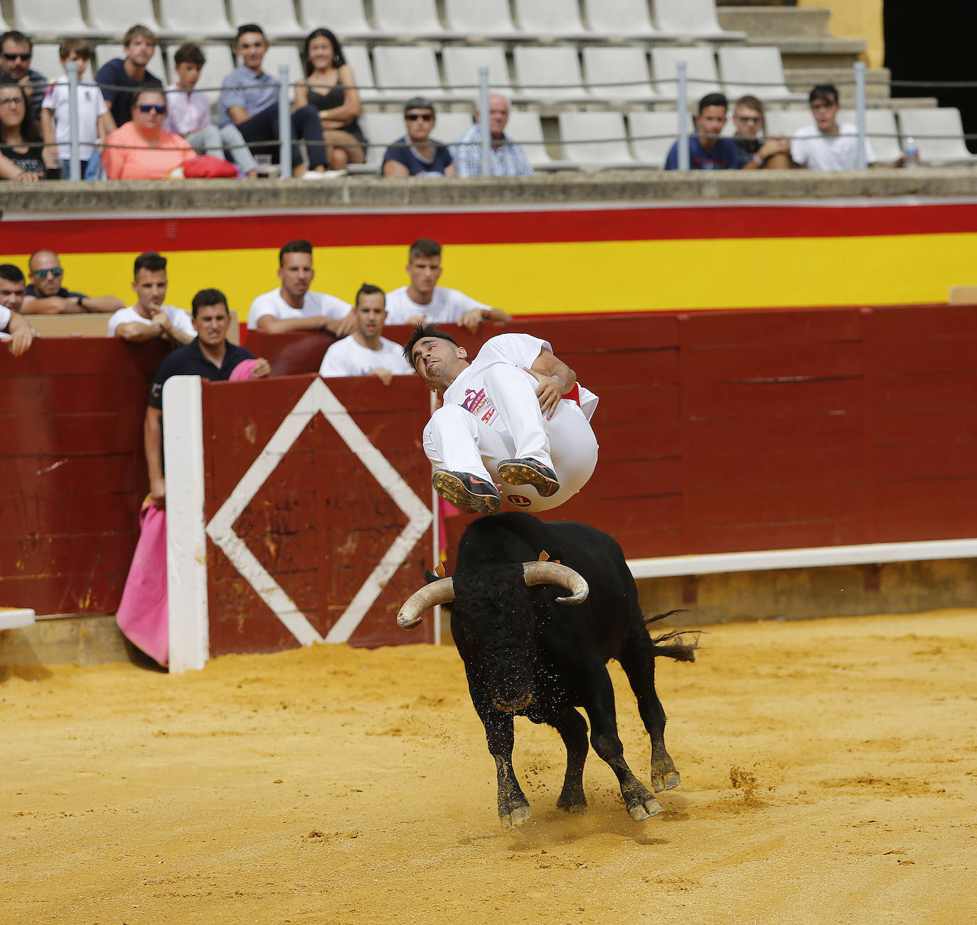 Fotos: Campeonato de recorte libre de Palencia 2019