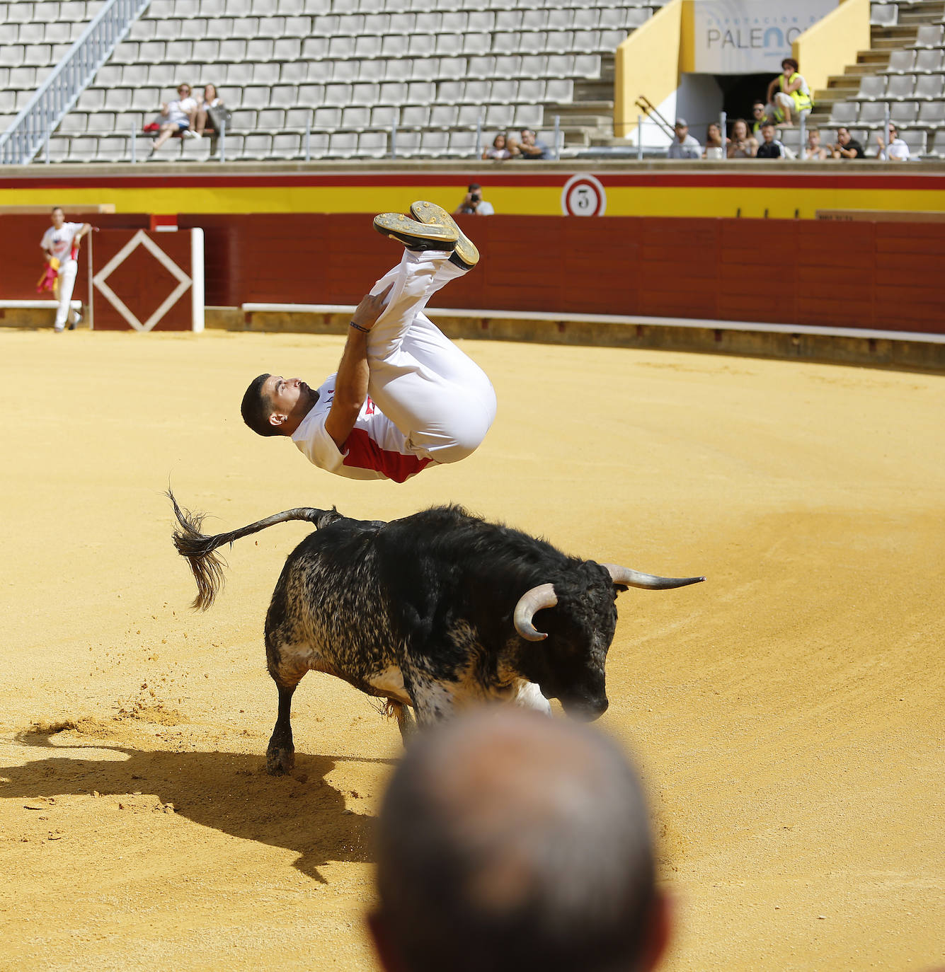 Fotos: Campeonato de recorte libre de Palencia 2019