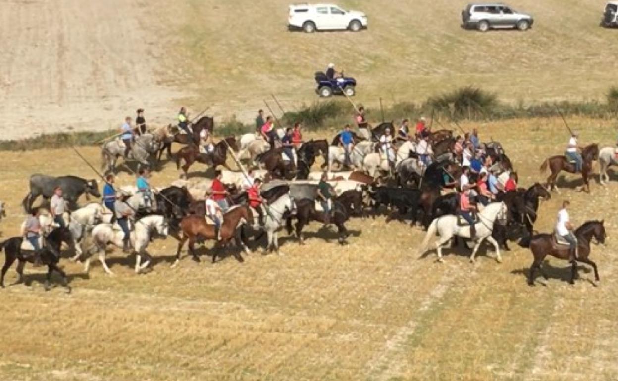 Un momento del encierro por el campo.