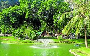 Es el equivalente al Central Park neoyorquino. 56 hectáreas de verde y lagos donde descansar del ajetreo de Bangkok. Allí viven varanos o lagartos gigantes. Cada día, a las seis de la tarde, suena el himno nacional por la megafonía, todo el mundo se pone en pie y lo canta. Muy cerca de Patpong.