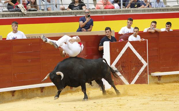 'Use' ejecuta el salto que le hizo ganar el concurso de Palencia.