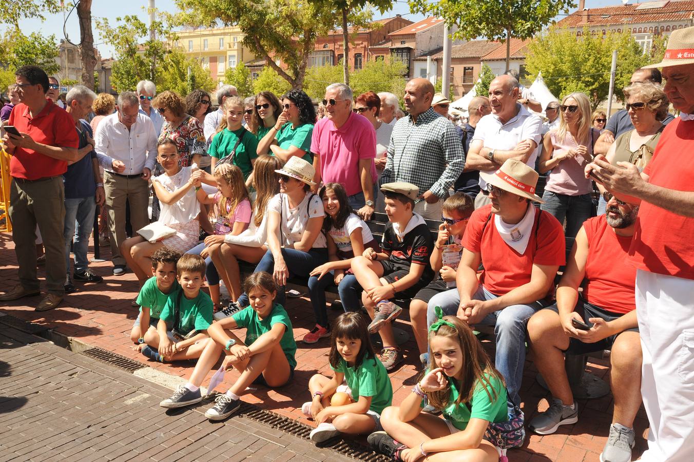 Fotos: Misa y procesión de San Antolín en Medina del Campo