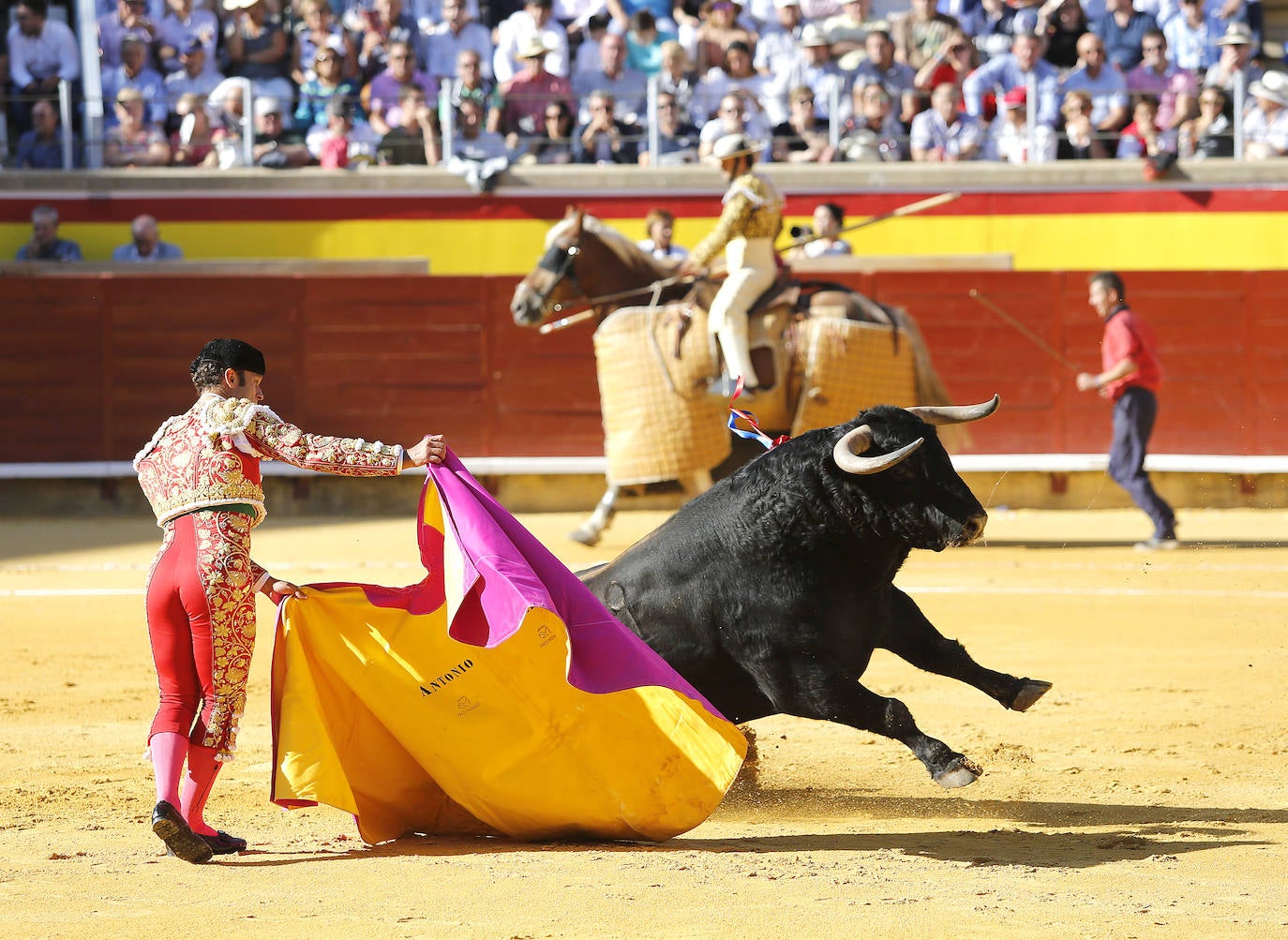Fotos: Ferrera y Aguado triunfan en la última corrida de la feria de Palencia