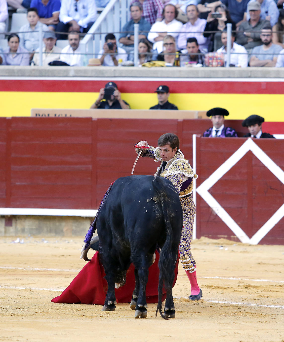 Fotos: Ferrera y Aguado triunfan en la última corrida de la feria de Palencia