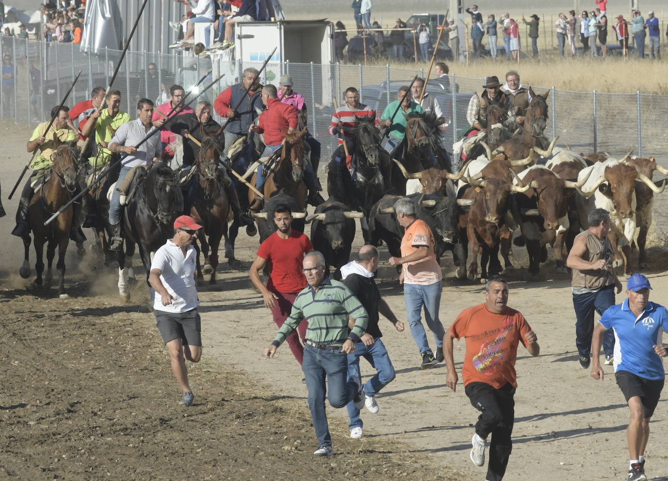 Fotos: Segundo encierro en Medina del Campo