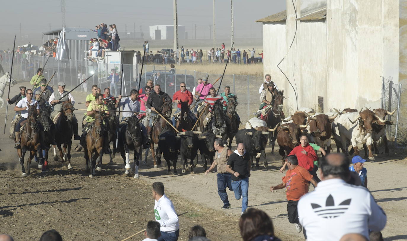 Fotos: Segundo encierro en Medina del Campo