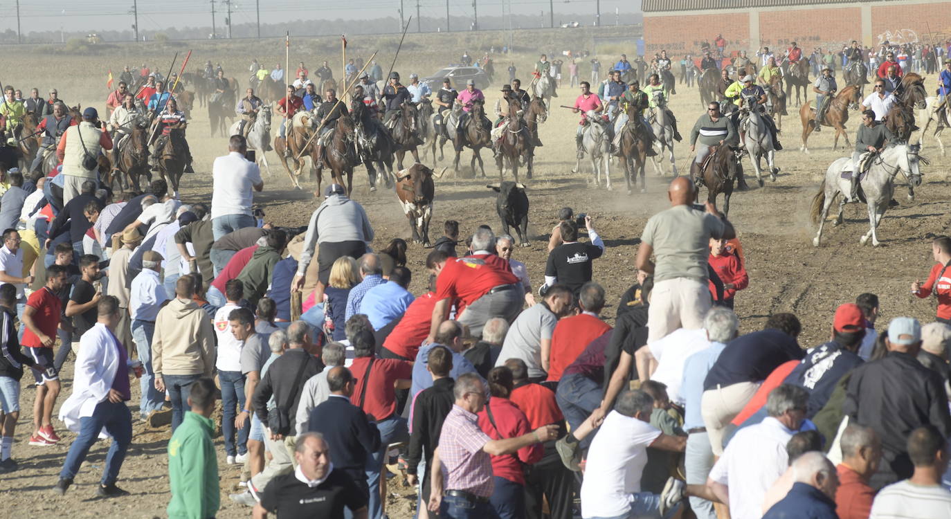 Fotos: Segundo encierro en Medina del Campo