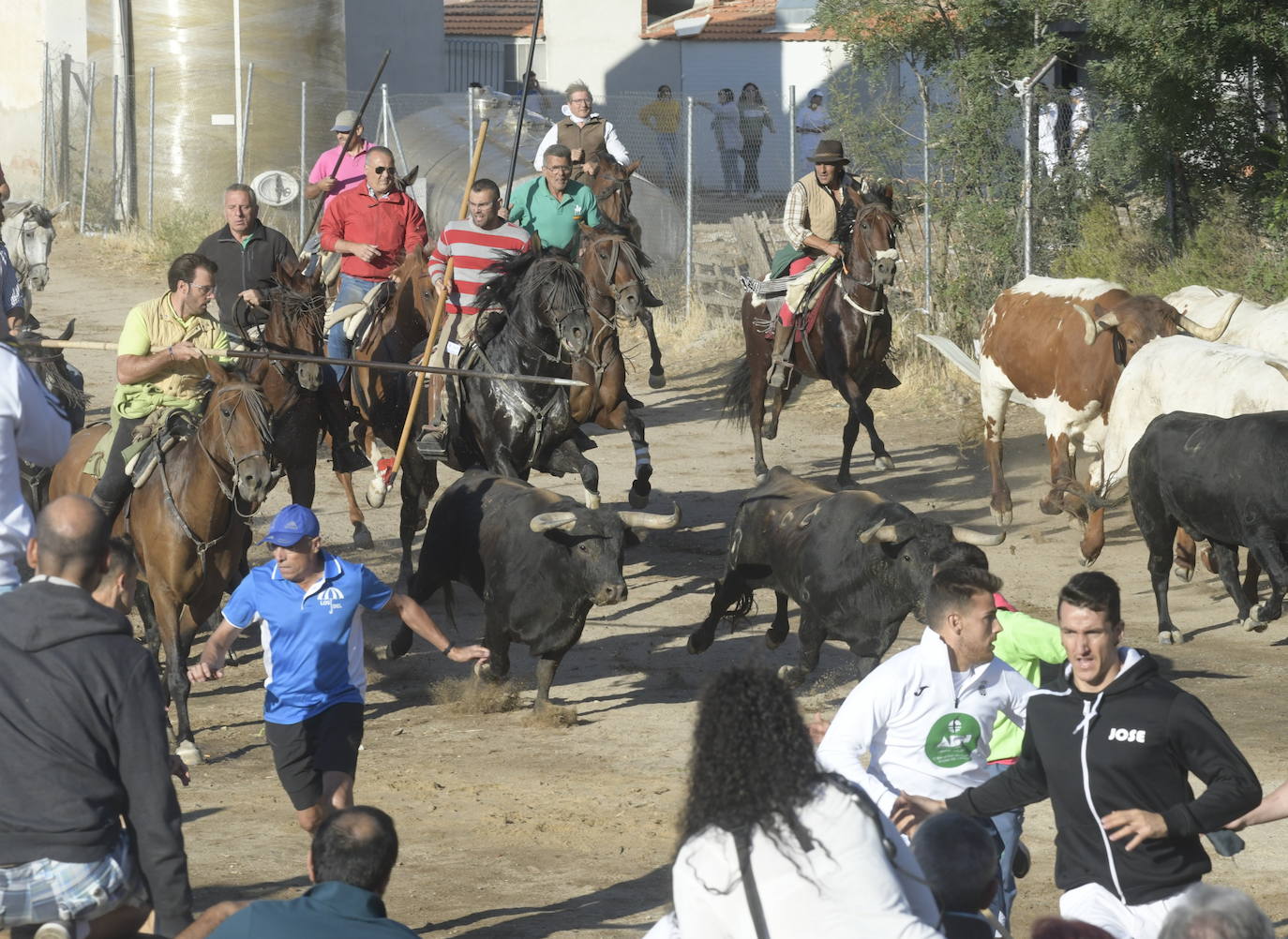 Fotos: Segundo encierro en Medina del Campo