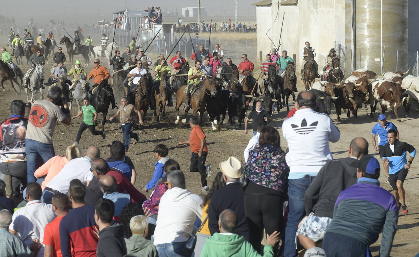 Fotos: Segundo encierro en Medina del Campo
