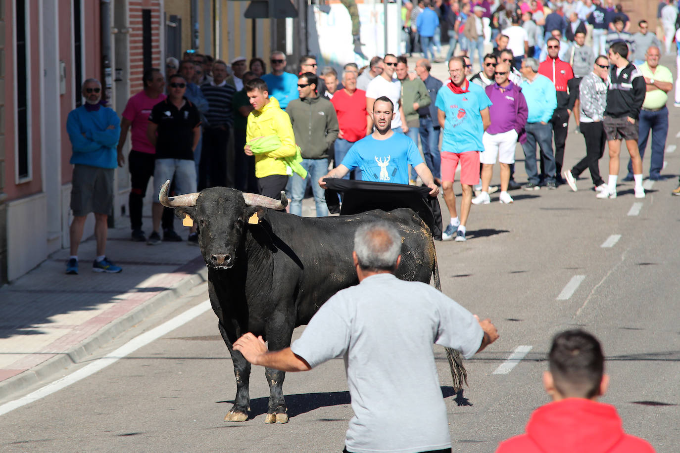 Fotos: Primer encierro en las fiestas de Nava del Rey