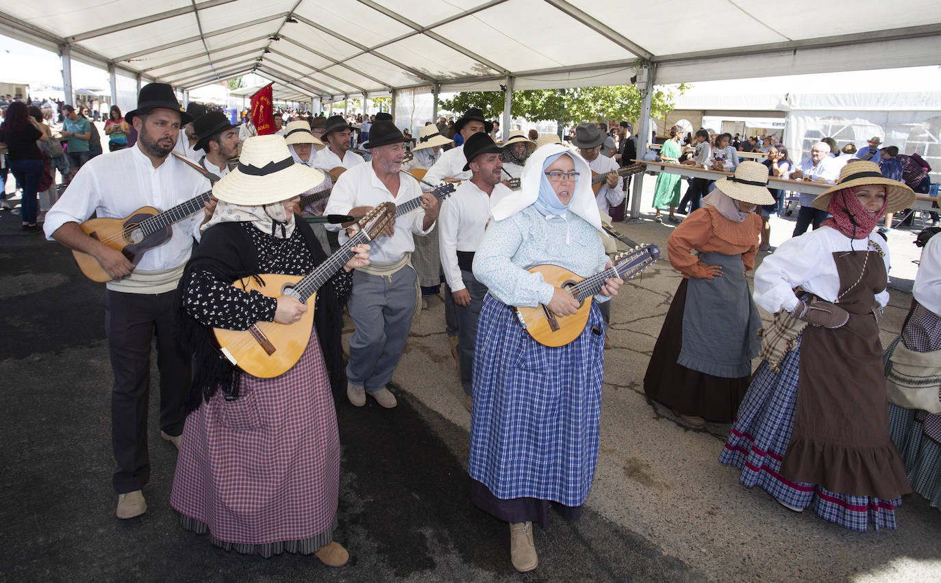 Fotos: Bocados y folclore de toda España en las casetas regionales