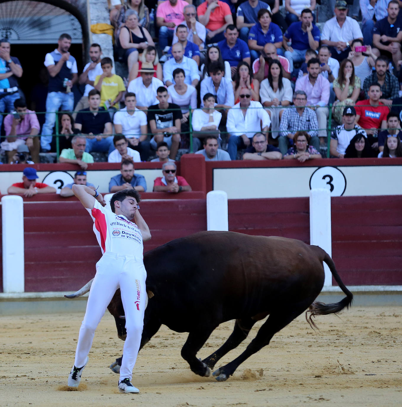 Fotos: Final de la Liga de Corte Puro