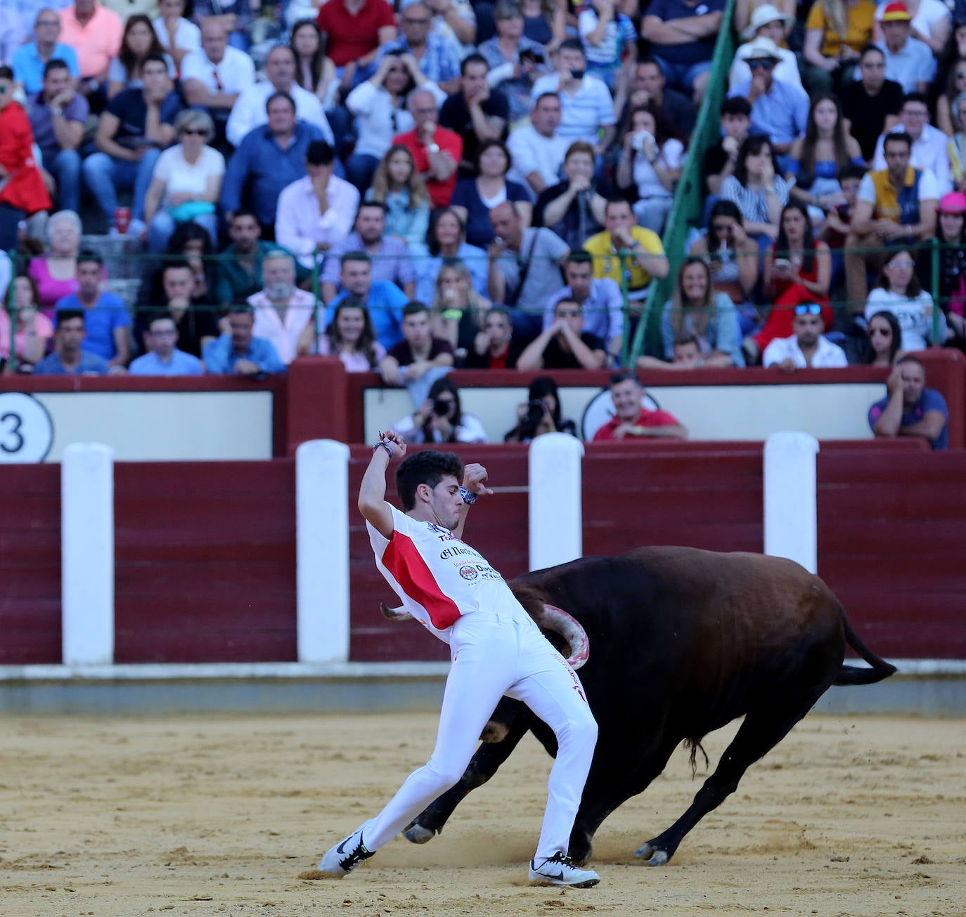 Fotos: Final de la Liga de Corte Puro