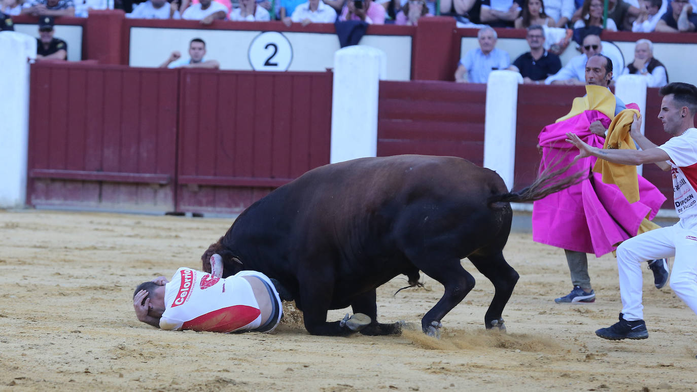 Fotos: Final de la Liga de Corte Puro