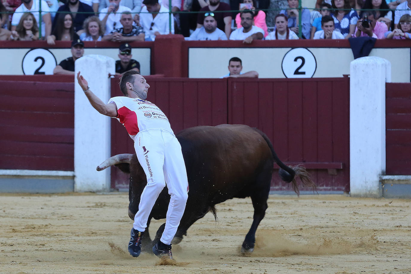 Fotos: Final de la Liga de Corte Puro
