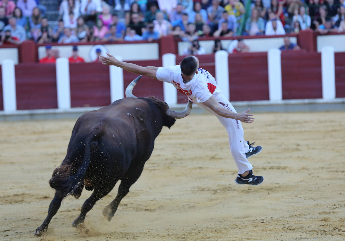 Fotos: Final de la Liga de Corte Puro