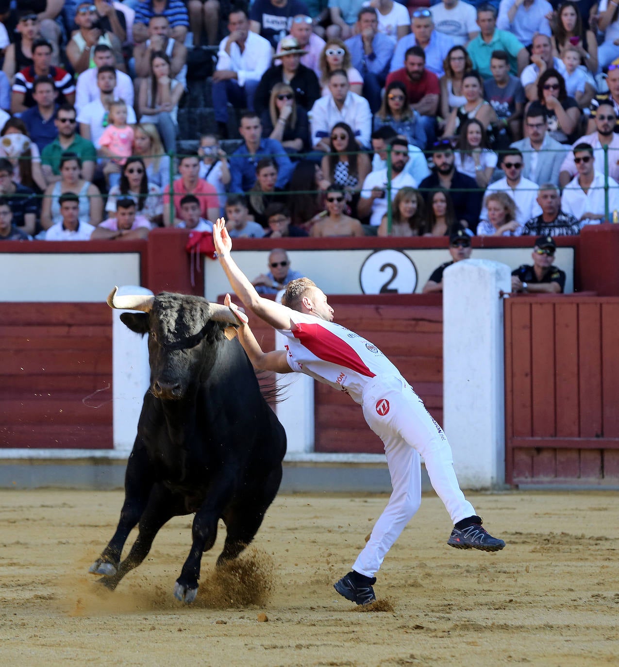 Fotos: Final de la Liga de Corte Puro