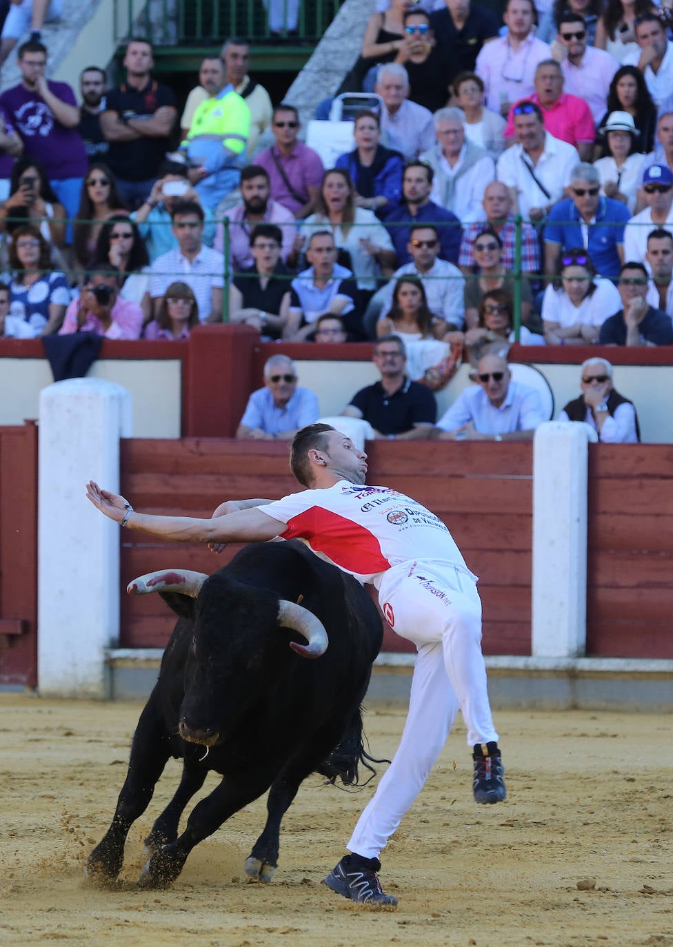 Fotos: Final de la Liga de Corte Puro
