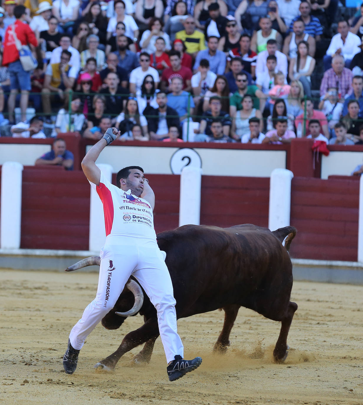 Fotos: Final de la Liga de Corte Puro