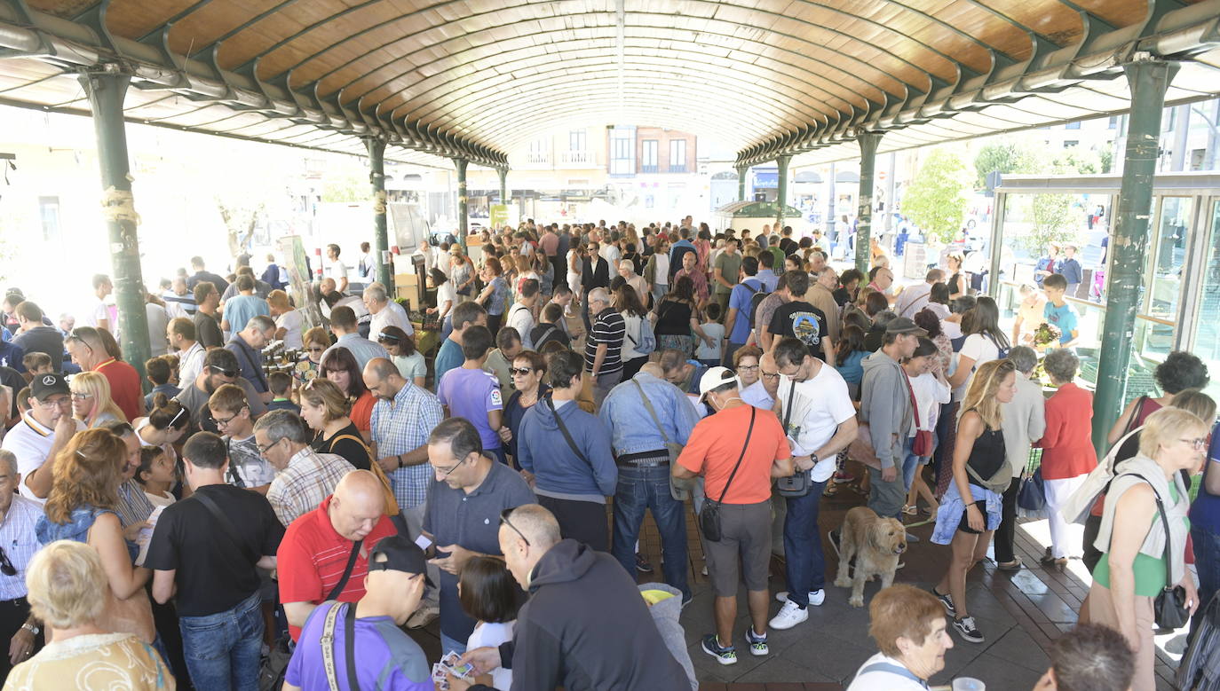 Fotos: Mercado ecológico en la Plaza de España