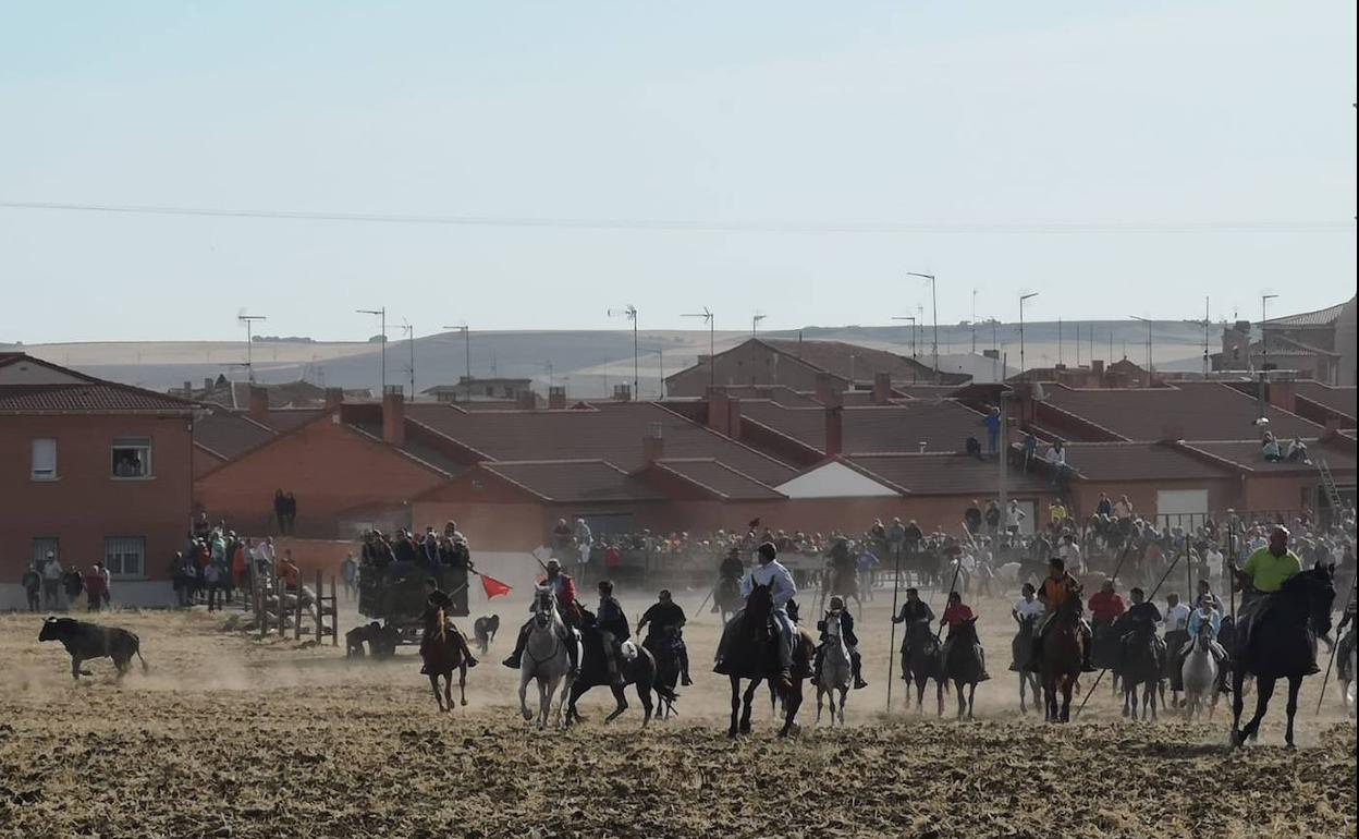 Encierro en Nava del rey. 