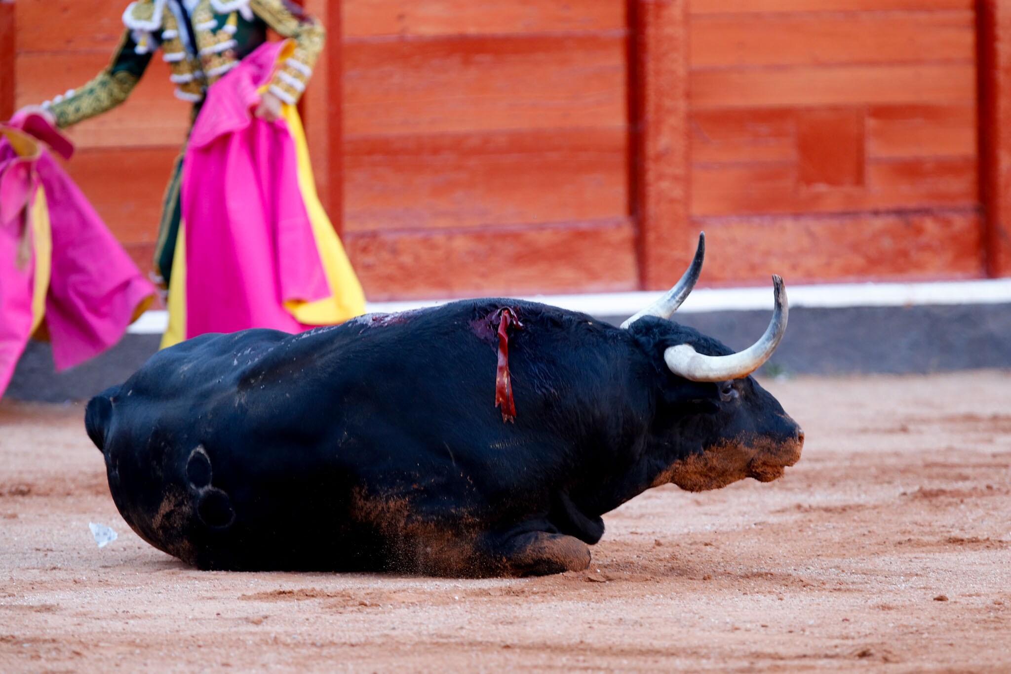 Fotos: Corrida de toros con los salmantinos López Chaves, Damián Castaño y Alejandro Marcos