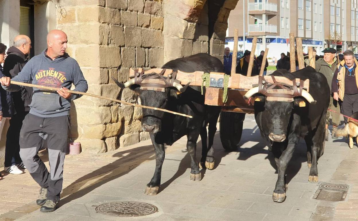 Las carretas se dirigen por el arco de Reinosa hacia la plaza de España. 