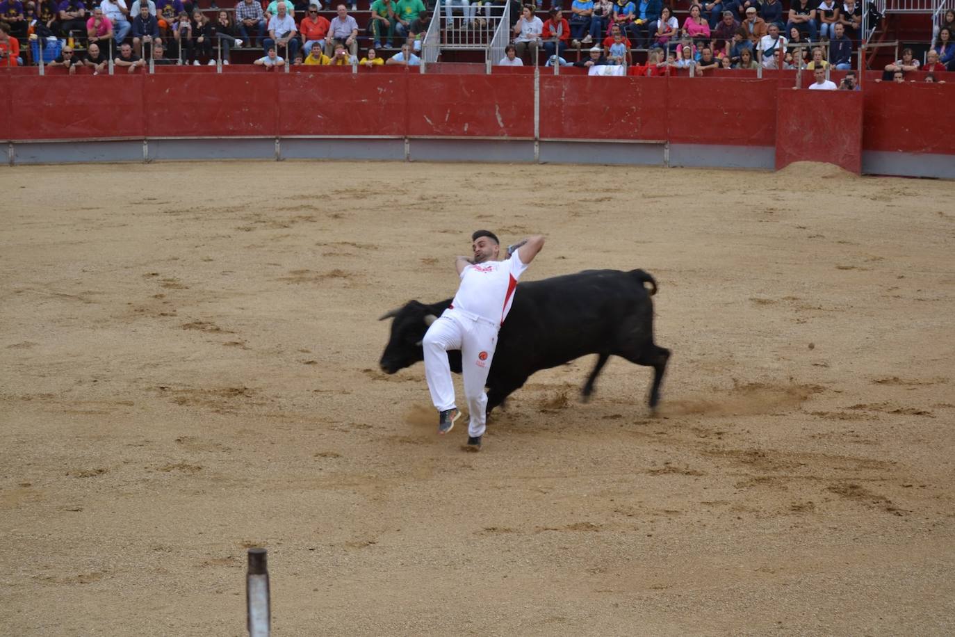 Astudillo abre sus fiestas. 