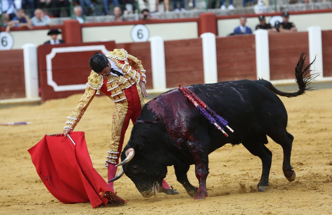 Fotos: El Fandi, Perera y De Justo en la cuarta corrida de la Feria de la Virgen de San Lorenzo de Valladolid