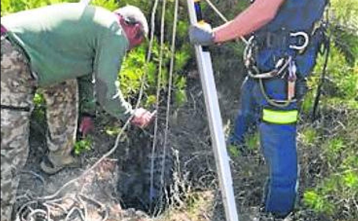 El pozo en el que había caído el cánido. 