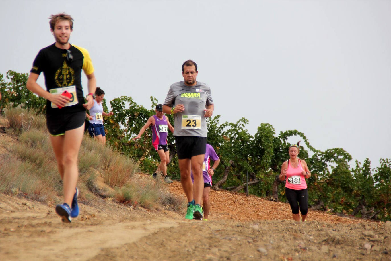 Fotos: Más de 300 atletas participan en la carrera &#039;Corriendo entre viña&#039; de Rueda (2/2