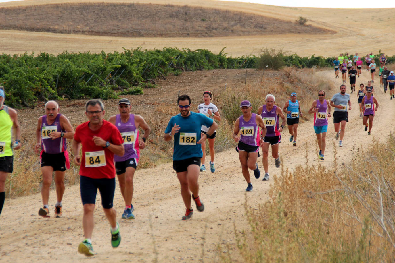 Fotos: Más de 300 atletas participan en la carrera &#039;Corriendo entre viña&#039; de Rueda (2/2